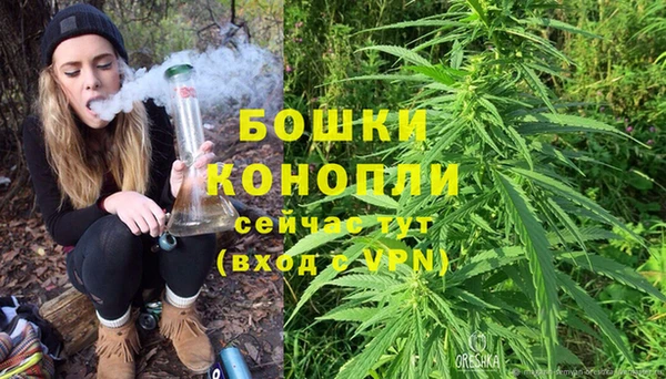 СК Нефтегорск