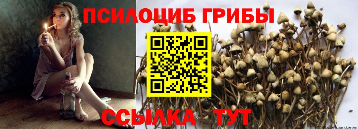 Галлюциногенные грибы Psilocybine cubensis  Вход с VPN  Туапсе 
