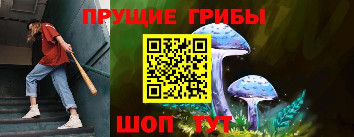 Псилоцибиновые грибы GOLDEN TEACHER Туапсе